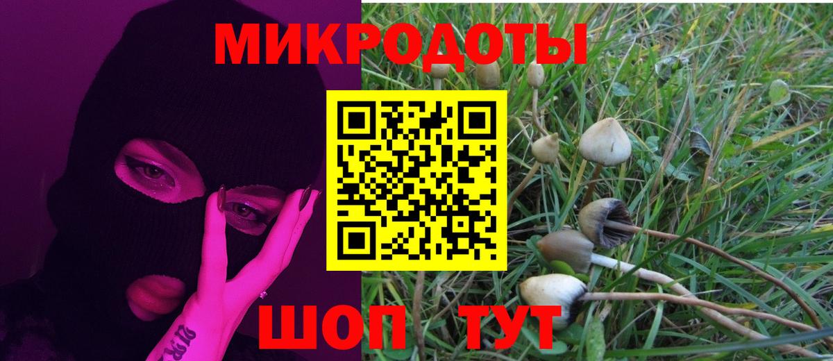 Орёл  Псилоцибиновые грибы мицелий  Вход с VPN 
